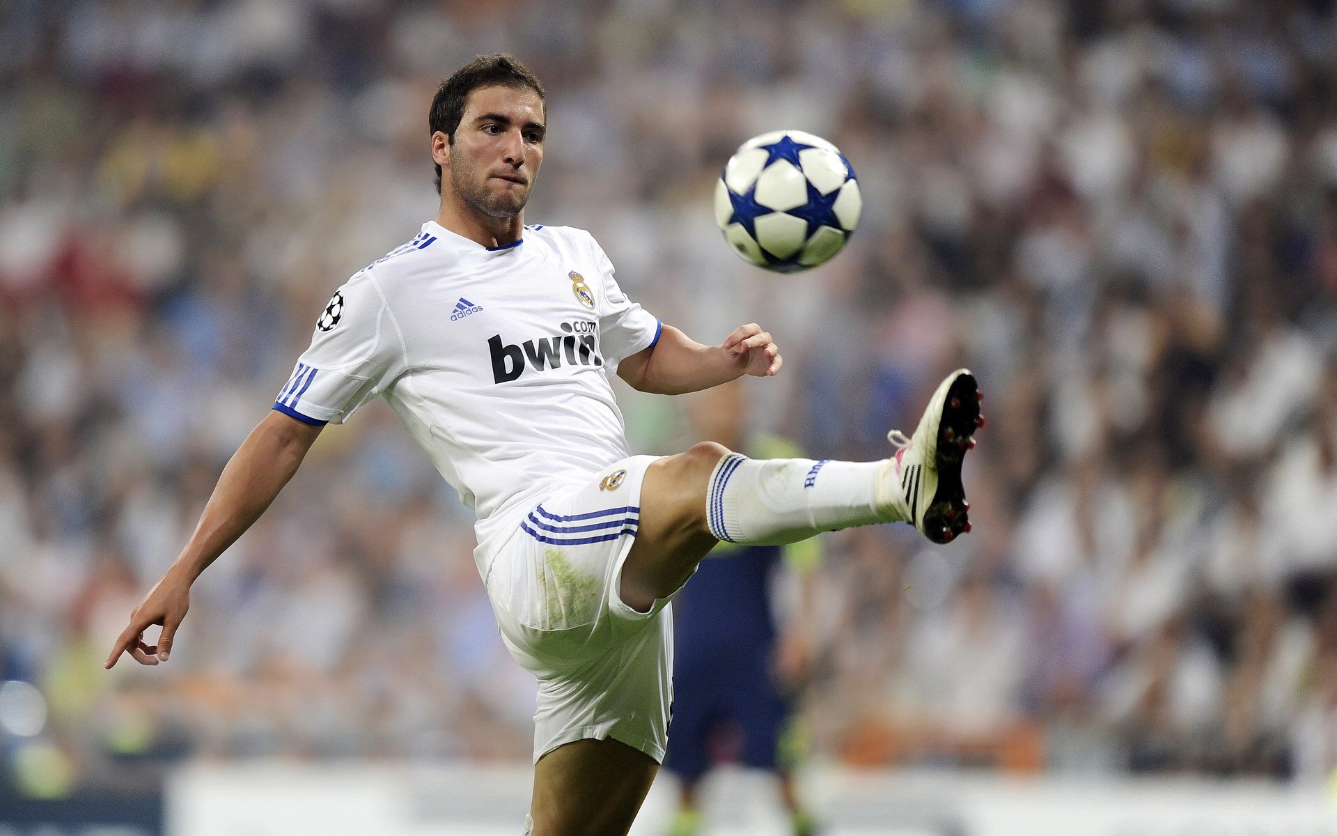 全球体育赛事观众人数持续增长，全球体育赛事观众人数持续增长的原因